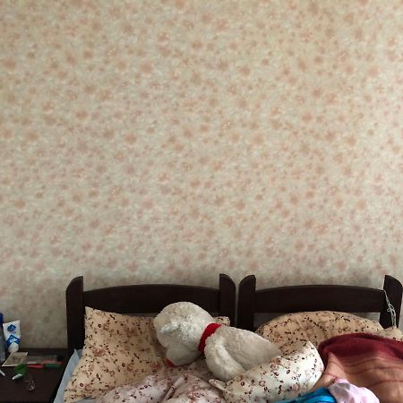 Panorama-Hostel キエフ エクステリア 写真