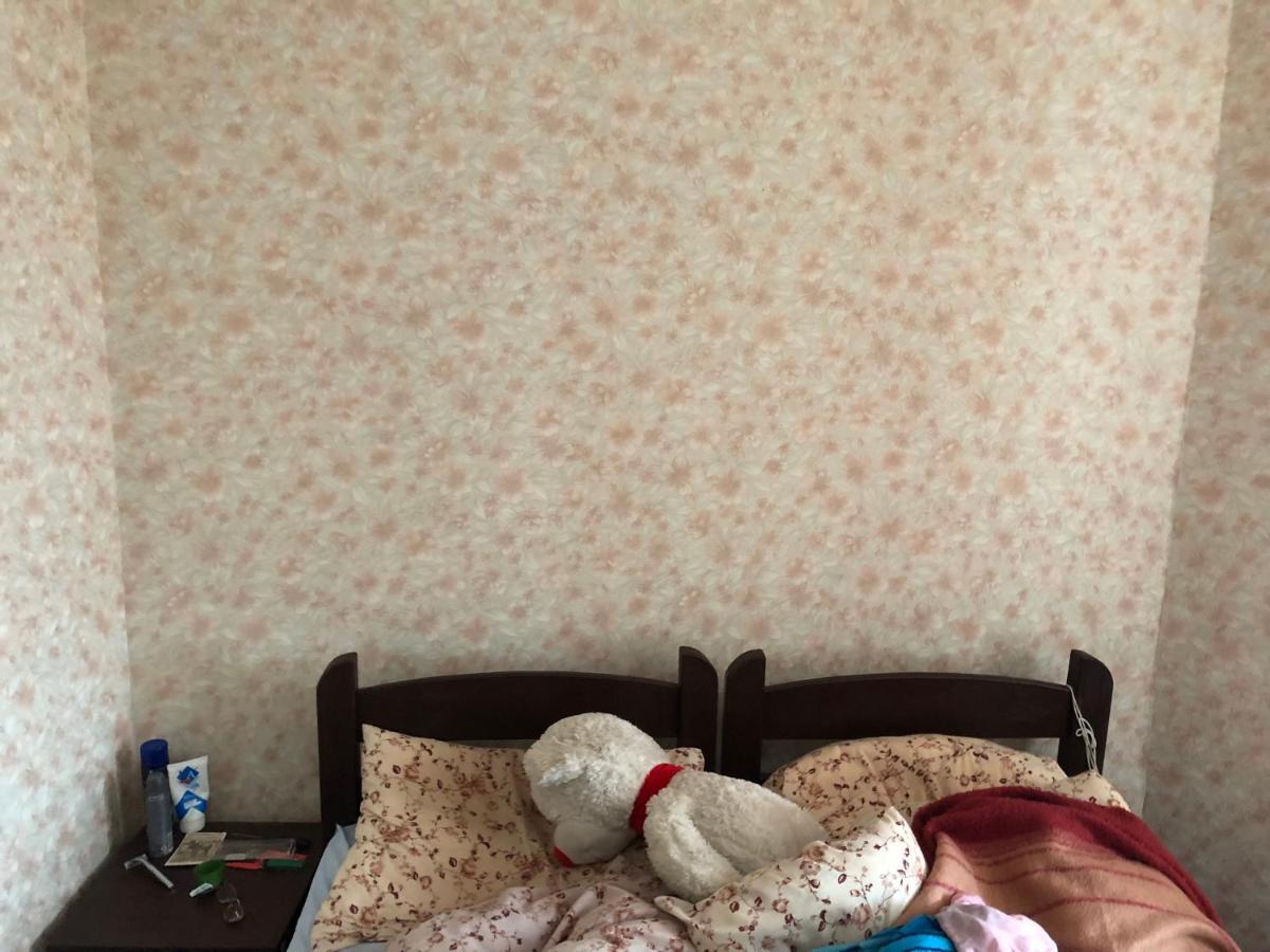 Panorama-Hostel キエフ エクステリア 写真